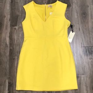 Bright Yellow Dress